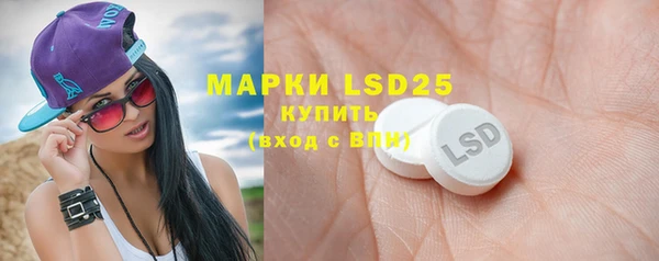 ПСИЛОЦИБИНОВЫЕ ГРИБЫ Няндома