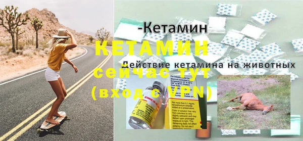 ПСИЛОЦИБИНОВЫЕ ГРИБЫ Няндома