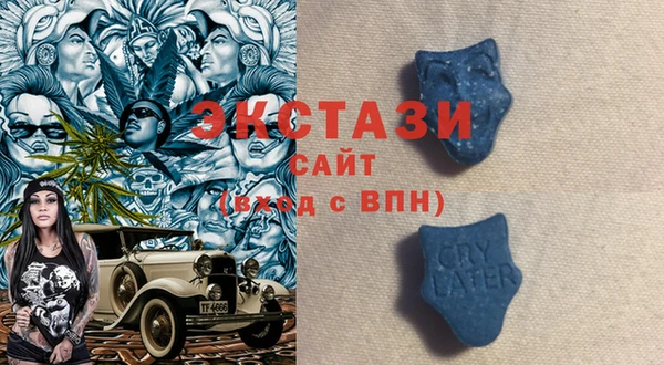 ПСИЛОЦИБИНОВЫЕ ГРИБЫ Няндома