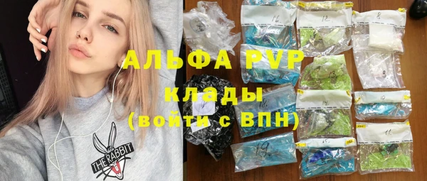 ПСИЛОЦИБИНОВЫЕ ГРИБЫ Няндома