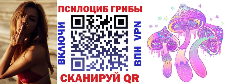Псилоцибиновые грибы мицелий  наркошоп  Октябрьский 
